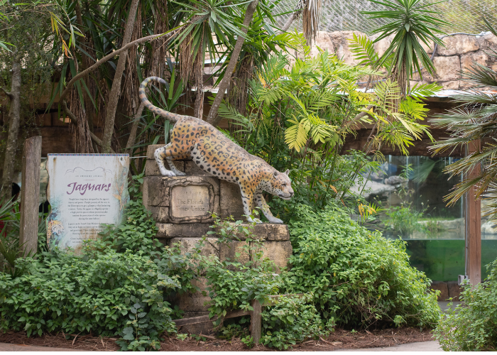 Photo of Jacksonville Zoo and Gardens